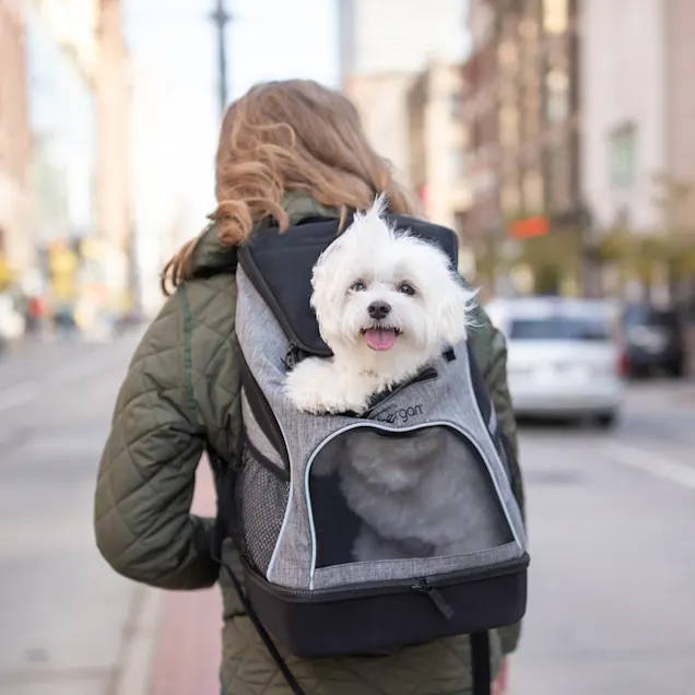 Transportador mochila